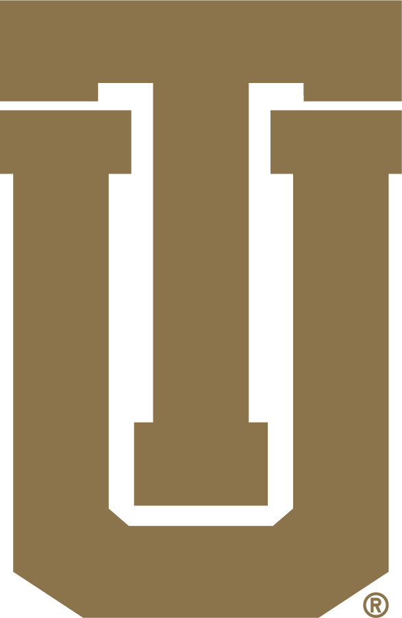 Tulsa Golden Hurricane 1992-2014 Secondary Logo t shirts iron on transfers